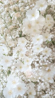 PRM2 WHITE PROM from Fabbrini's Flowers in Hoffman Estates, IL